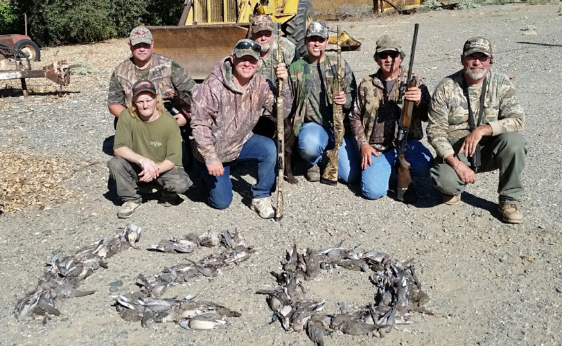 Guided Dove Hunts in Northern California.